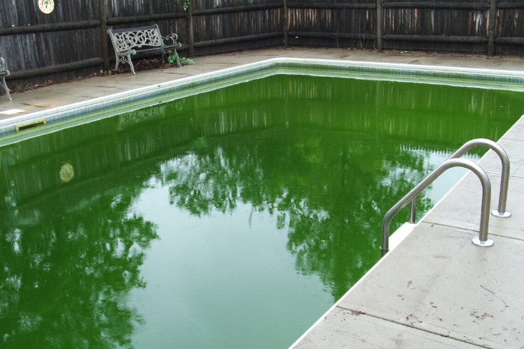 Eau Verte Piscine